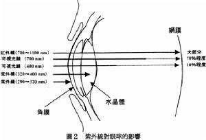 那些你看不見的光對(duì)眼睛的傷害